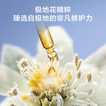 京东京造极地花湿厕纸80片厕纸湿巾大包家庭装 清洁湿纸巾湿巾	 /家庭清洁/纸品 /清洁纸品 /湿厕纸 商品图5