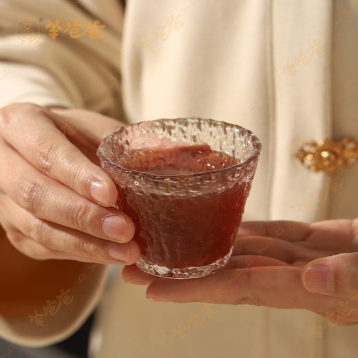 【陈皮乌梅饮】开袋即饮|本草润津，养生解腻酸梅汤，酸甜适度 商品图7