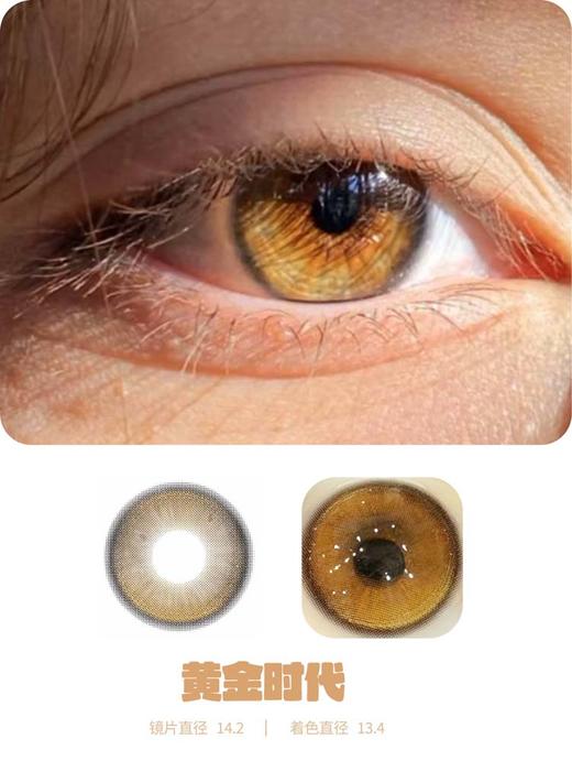 TOASTNOMI 日抛 黄金时代 直径14.2mm着色13.4mm  （十片装） 商品图4