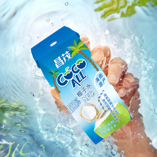 【海南特产椰子水】昌茂椰子水大瓶饮料果汁健身补水椰汁含电解质饮料 商品图3