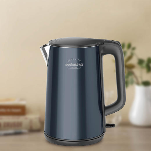 SK5847 电热水壶 商品图0