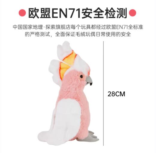 中国国家地理·探索仿真动物毛绒玩偶凤头鹦鹉金刚鹦鹉玩具礼盒装生日礼物 凤头鹦鹉28cm 礼盒装 商品图2