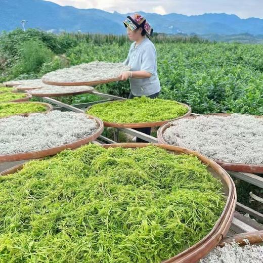 莓茶永顺张家界特级野生湖南藤茶芽尖100g/罐*2 商品图5