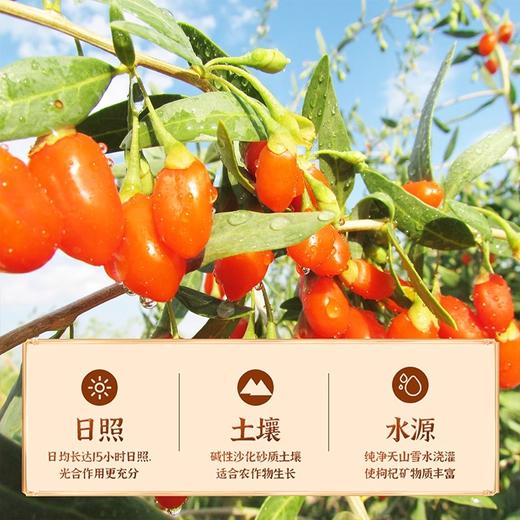 精河枸杞·精河枸杞原浆·30ml*90袋/箱  直接喝的枸杞汁 商品图4