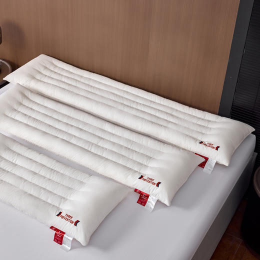 自然醒A类全棉三防双人长枕头助睡眠情侣长款一体长条枕防水油污枕芯护颈椎双层纱长枕套 XK 商品图0