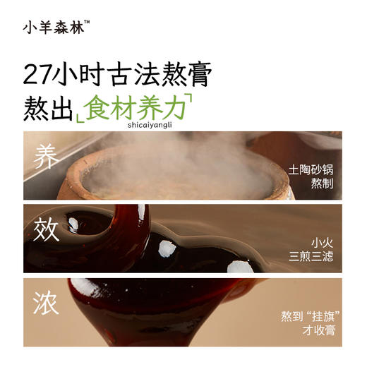 「保和膏 」儿童脾胃膏 酸甜好喝 宝宝易接受 10s冲饮 商品图3