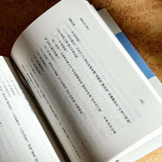 陈检讨四六笺注 上中下三册 清代别集丛刊 陈维崧骈文集笺注本 商品图13