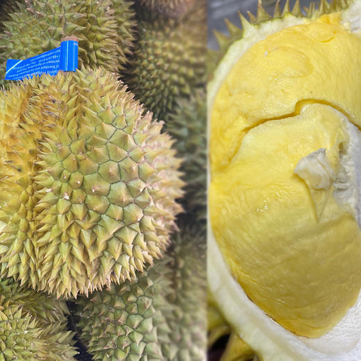 【整果销售】诺卡吉榴莲 500g/份 商品图0