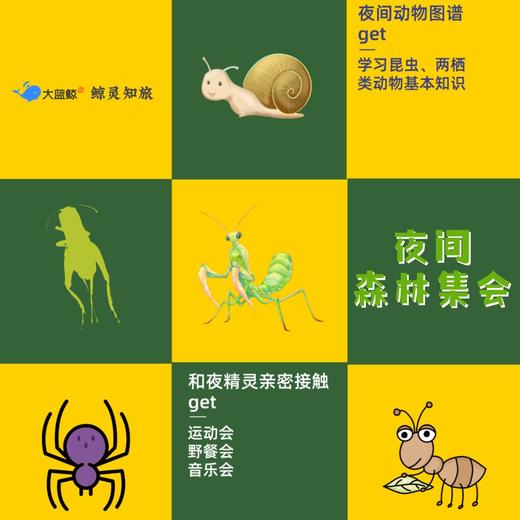 大蓝鲸爱研学|「夜间森林集会」出发吧，森林探险家 商品图1