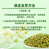 十月稻田 绿豆 2斤 (可发豆芽 打豆浆 东北 五谷 杂粮 粗粮 真空大米伴侣) /粮油调味 /杂粮 /杂豆类 商品缩略图2