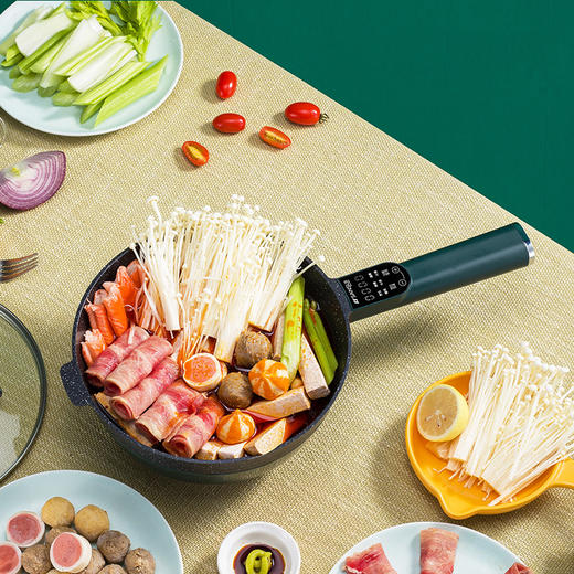 山水（SANSUI）5L多功能电炒锅SCG-C50D1（配蒸笼） 商品图2