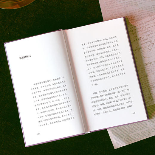 红 | 麦克阿瑟天才奖得主玛吉・尼尔森绝望与不安之书 商品图8