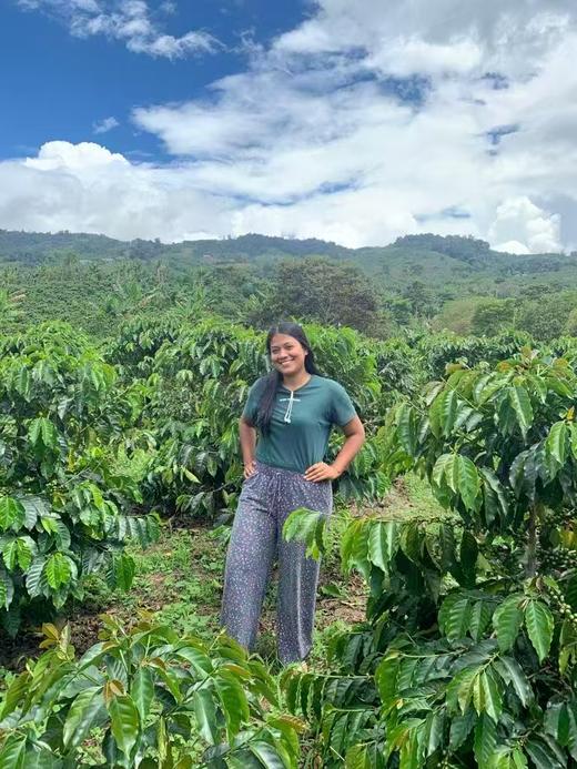 【茶馆咖啡】哥伦比亚 希望庄园丨香气优雅 干净度高 商品图2