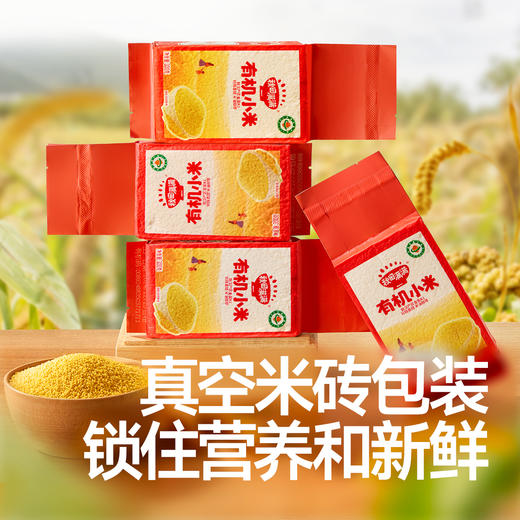 【主辅食】有机黄小米300g，送辅食食谱 商品图4