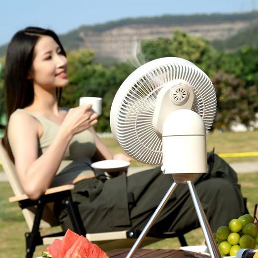 【多样屋专柜】多样屋旋风家用多功能风扇-深谷灰 商品图3