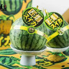 冰淇淋黄西瓜🍉（4个装） 商品缩略图1