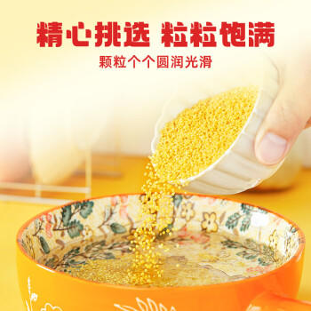 柴火大院 内蒙古黄小米 4斤 五谷杂粮 低脂杂粮 早餐 小米黄小米 粥 商品图3