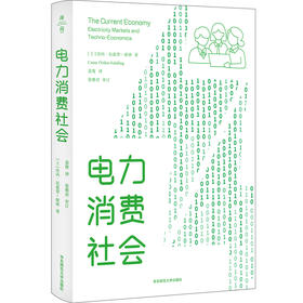 电力消费社会 薄荷实验 电力市场 插座背后的经济学