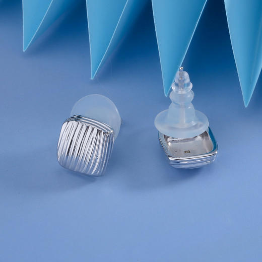 【宏艺珠宝】林叶脉语·银s925耳饰 商品图2