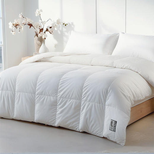 多喜爱 甄芯95白鹅绒被-白羽轻絮 【波兰进口白鹅绒】【95%绒子含量】【1000+清洁度】【立体分舱设计】【高档皮包】四重锁绒工艺 A类品质标准 大绒朵 商品图5