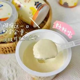 奶皮子酸奶  简约配方 单杯发酵  老北京的传统工艺