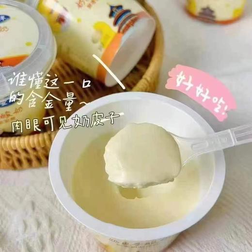 奶皮子酸奶  简约配方 单杯发酵  老北京的传统工艺 商品图0