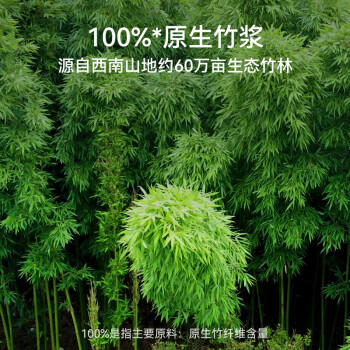 山丘无芯卷纸4层150克12卷1800克加厚大卷卫生纸厕纸卷筒纸冲水易溶 /家庭清洁/纸品 /清洁纸品 /卷纸 商品图2