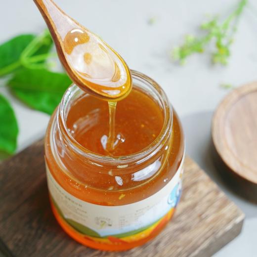 【山界好物】斜源黄柏蜂蜜380g农家土蜂蜜 商品图2
