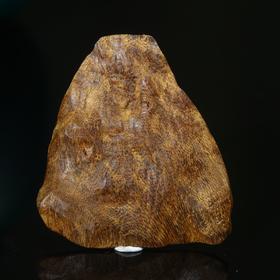 BC.UT5.12-1   加里曼丹沉水(材料) ，4.83g