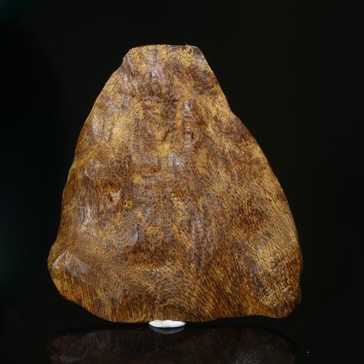 BC.UT5.12-1   加里曼丹沉水(材料) ，4.83g 商品图0