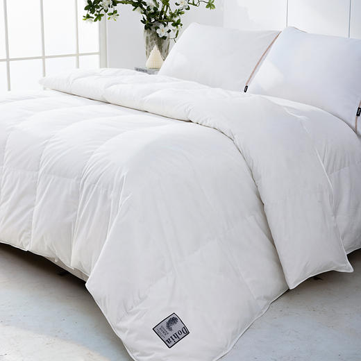 多喜爱 甄芯95白鹅绒被-白羽轻絮 【波兰进口白鹅绒】【95%绒子含量】【1000+清洁度】【立体分舱设计】【高档皮包】四重锁绒工艺 A类品质标准 大绒朵 商品图1