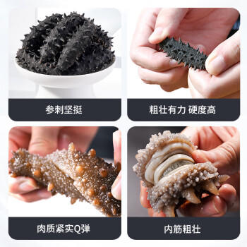 好参道大连淡干海参干货 150g 30只 净制辽刺参海鲜水产礼盒装 /粮油调味 /南北干货 /干海参 商品图8