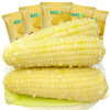 金沃瑞丰有机 白糯玉米棒220g*5根＞2.2斤 新鲜甜粘黏真空 非转基因 早餐 /粮油调味 /杂粮 /谷米类 商品缩略图0
