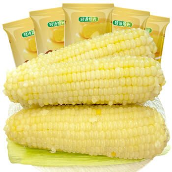 金沃瑞丰有机 白糯玉米棒220g*5根＞2.2斤 新鲜甜粘黏真空 非转基因 早餐 /粮油调味 /杂粮 /谷米类 商品图0