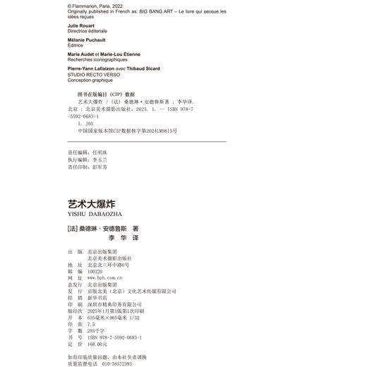 艺术大爆炸 商品图2