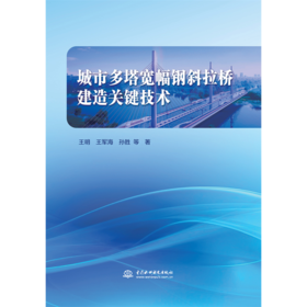 城市多塔宽幅钢斜拉桥建造关键技术