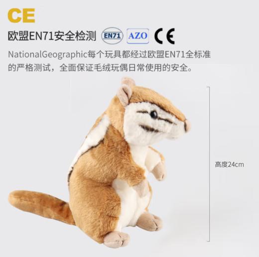 国家地理毛绒玩具动物玩偶礼盒花栗鼠纪念款 商品图1
