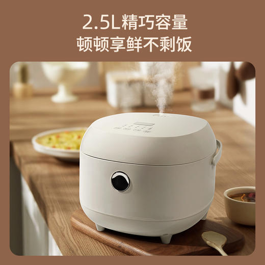 山水（SANSUI）2.5L智能电饭煲SF-F25E1（304不锈钢内胆0涂层） 商品图1