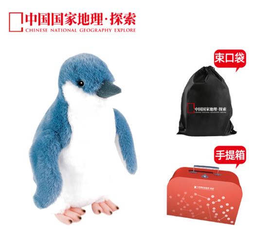中国国家地理·探索仿真动物毛绒玩偶北极熊海豹企鹅玩具礼盒装生日礼物 小蓝企鹅28cm 礼盒装 商品图1