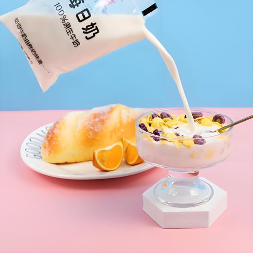 【亚欧超市】雪顿每日奶180ml/袋 商品图1