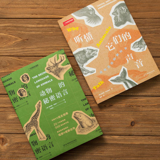 《读懂动物（听懂它们的声音+动物的秘密语言）》有趣的动物行为小百科 科普图书-分销 商品图1