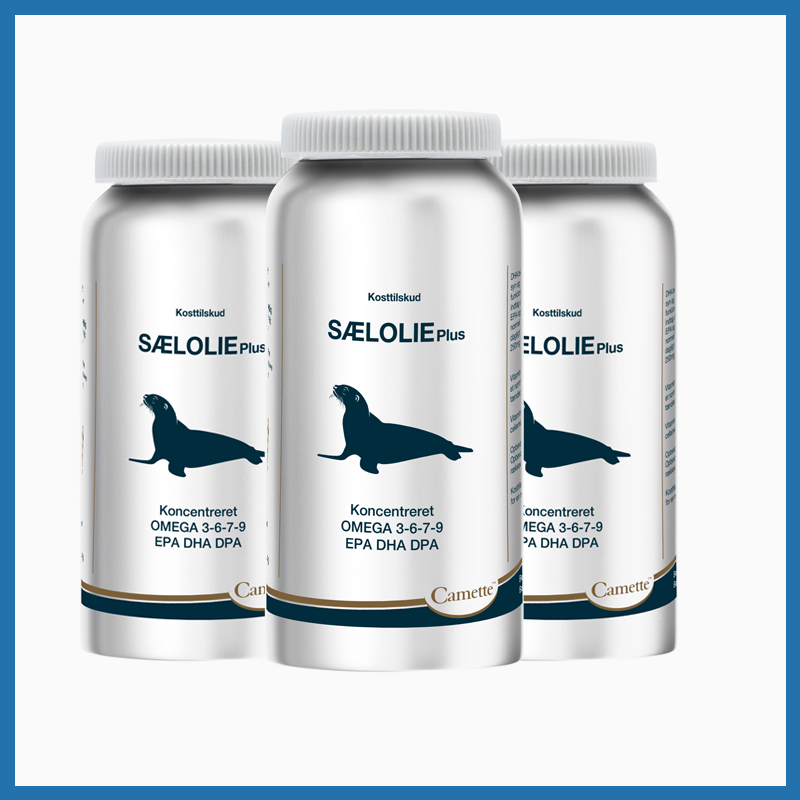 丹麦Camette凯麦特 浓缩海豹油DHA Omega-3  120粒/瓶