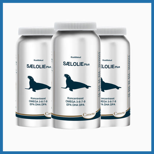 丹麦Camette凯麦特 浓缩海豹油DHA Omega-3  120粒/瓶 商品图0