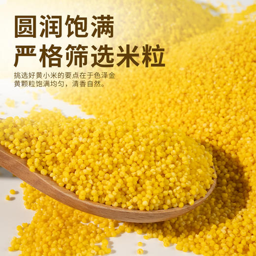 【武汉-蔡甸】优道有机黄小米750g/750g*2 商品图5