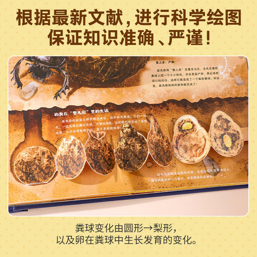 【青葫芦】法布尔昆虫记：立体书（点读版） 商品图2