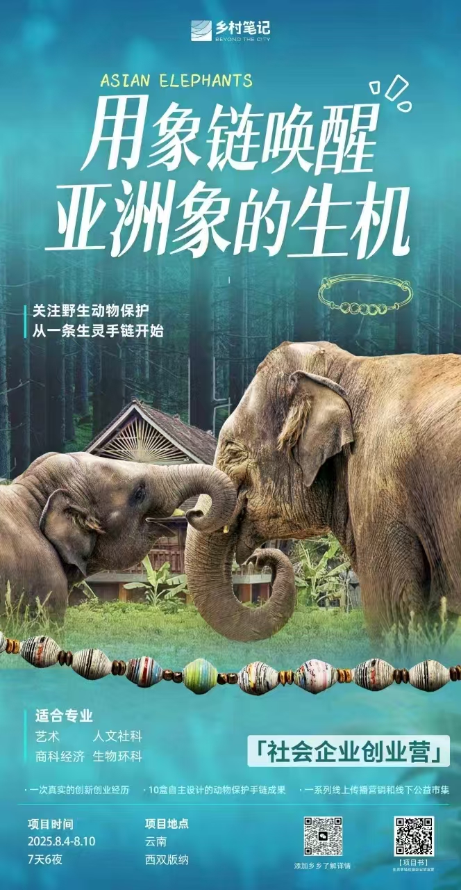 云南西双版纳 | 亚洲象生灵手链社企创业项目