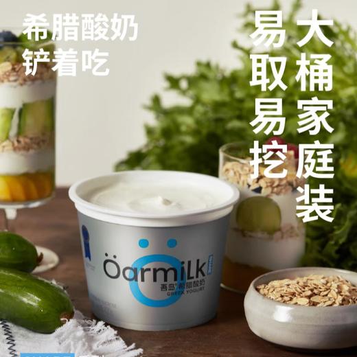 吾岛无蔗糖希腊酸奶420g 商品图5