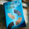 地中海文明共同体 从公元前3000年到轴心时代 白钢 六点图书 商品缩略图4