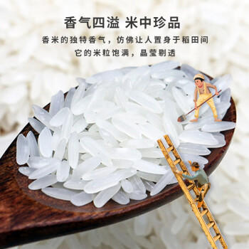 力源 稻桂邻九七香米10斤 广西一级籼米长粒大米 当季新米端午送礼 /粮油调味 /米 /油粘米 商品图1