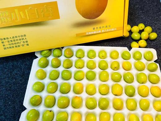 果然杏福新疆小白杏 商品图1
